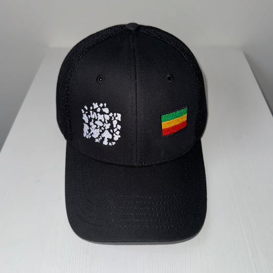 Mesh Cap - Cow Print/Rasta
